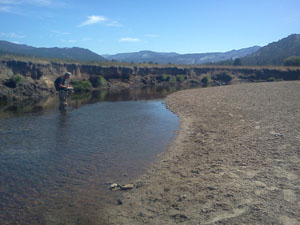 Image of stream survey